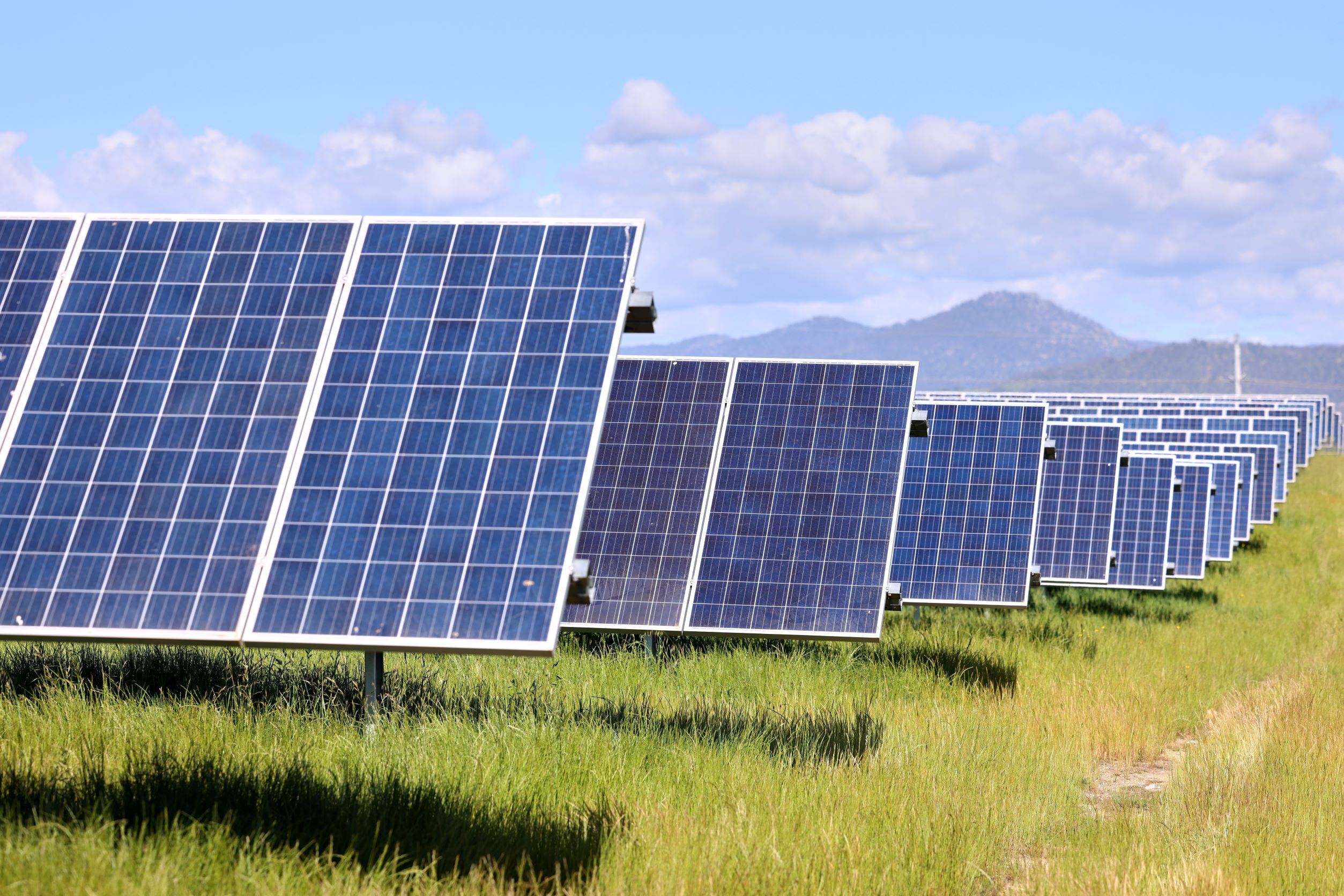 Solar Panels in a field
