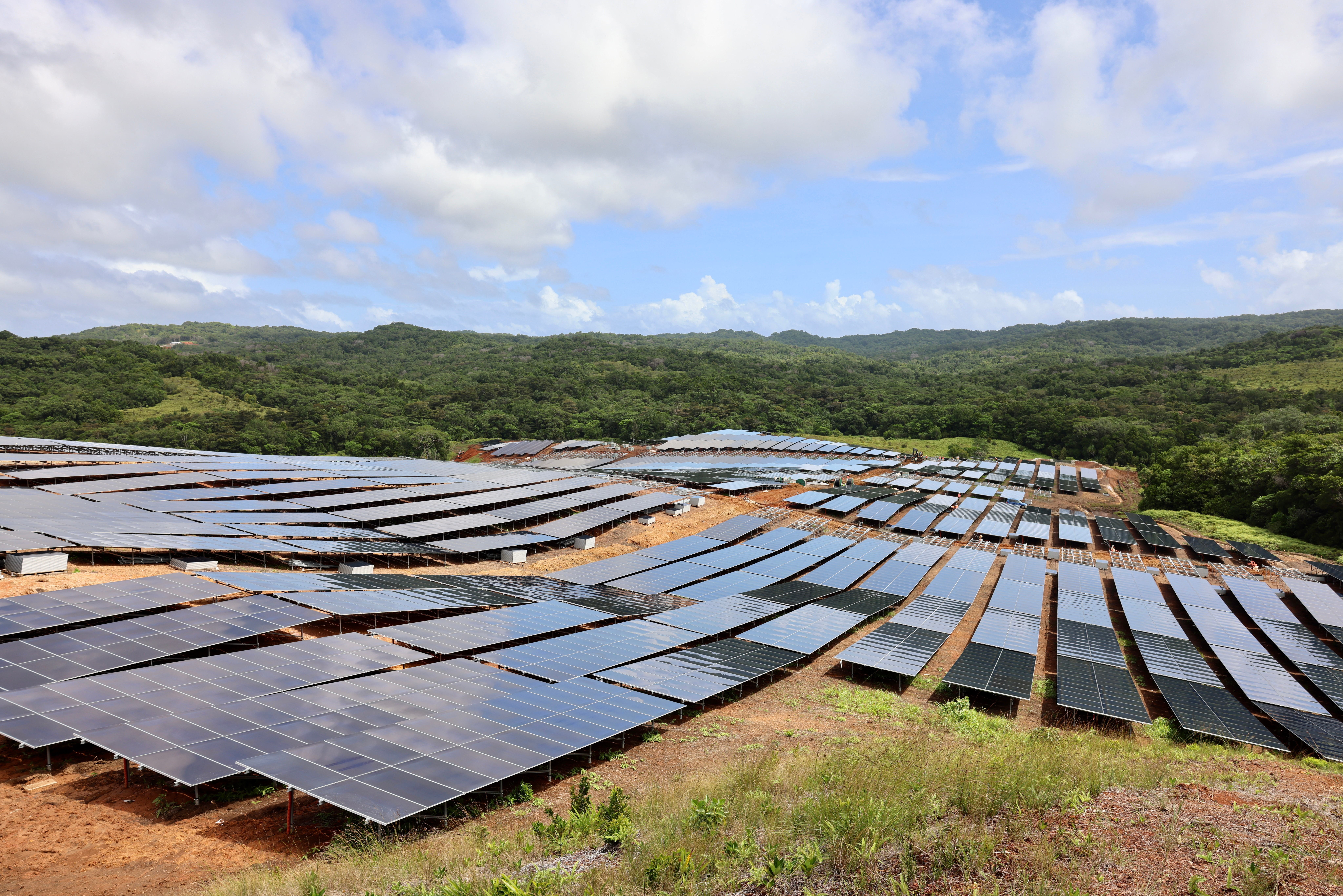Solar panels at the plant, opened in June 2023